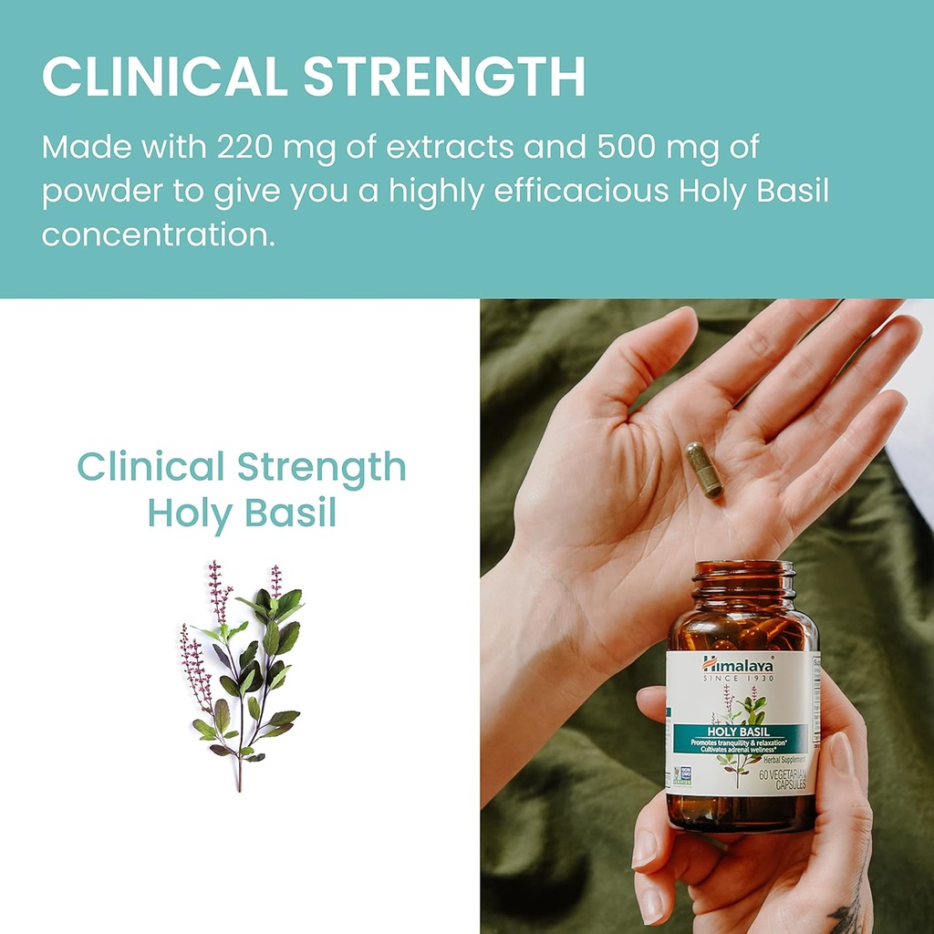 himalaya-holy-basil---herbal-adrenal-sup-6.jpg