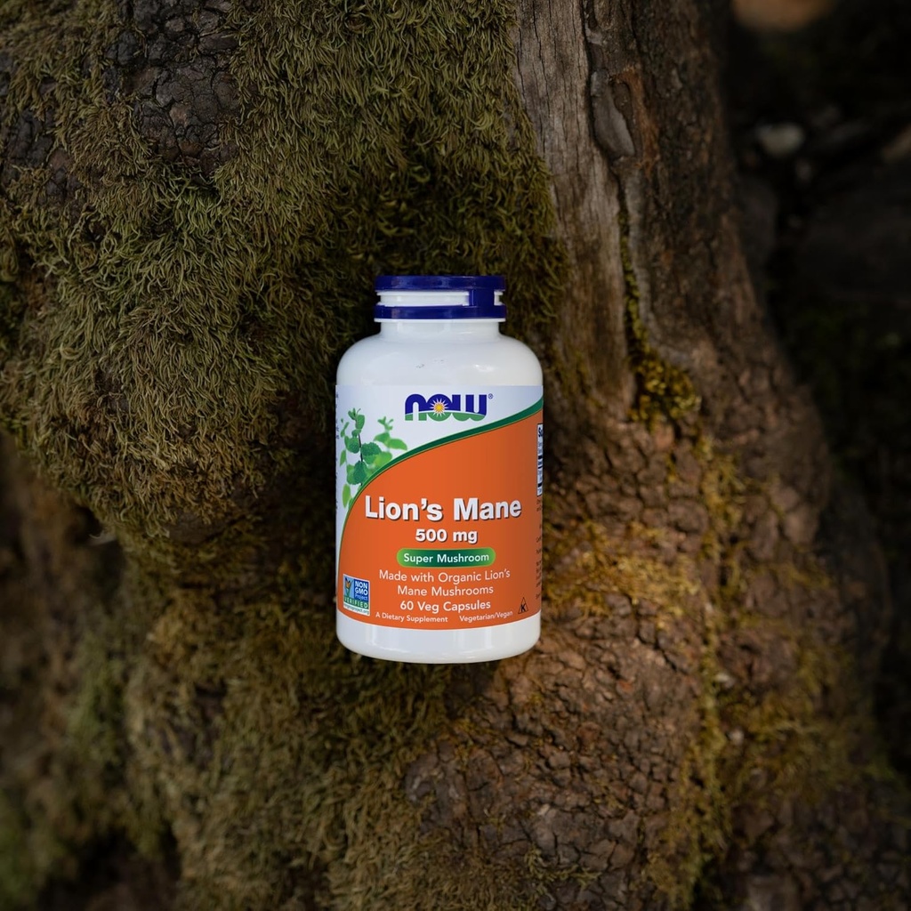 now-foods-supplements-lions-mane-500-mg--6.jpg