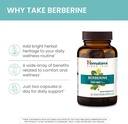 himalaya-berberine---herbal-supplement-f-4.jpg