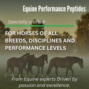equine-performance-peptides-horse-peptid-6.jpg