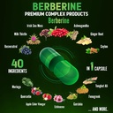 zolotus-berberine-supplement-40-in-1-wit-6.jpg