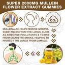 mullein-gummies-2000mg-organic-mullein-l-5.jpg