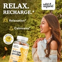 wild-organic-ashwagandha-gummies-2000mg--2.jpg