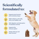 honest-paws-90-count-dog-multivitamin-so-2.jpg