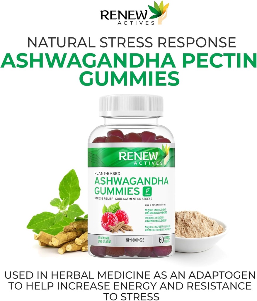 renew-actives-ashwagandha-100mg-per-4-gu-2.jpg