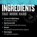 animal-juiced-amino-acids---bcaa-powder--4.jpg