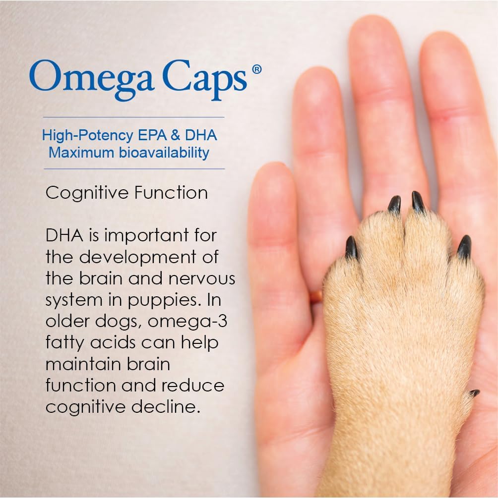 omega-caps-hp-snip-tips-for-cats-and-sma-3.jpg