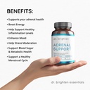dr-brighten-adrenal-support---dietary-su-3.jpg