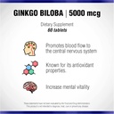 ginkgo-biloba-60-mg-by-natural-systems-6-4.jpg