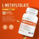 invita-l-methylfolate-15mg---professiona-3.jpg