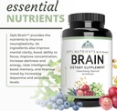 optimal-health-systems-brain-most-compre-5.jpg