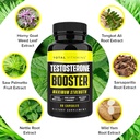 testosterone-booster---testosterone-supp-5.jpg