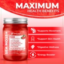 wellness-labsrx-irish-sea-moss-gel-raw---3.jpg