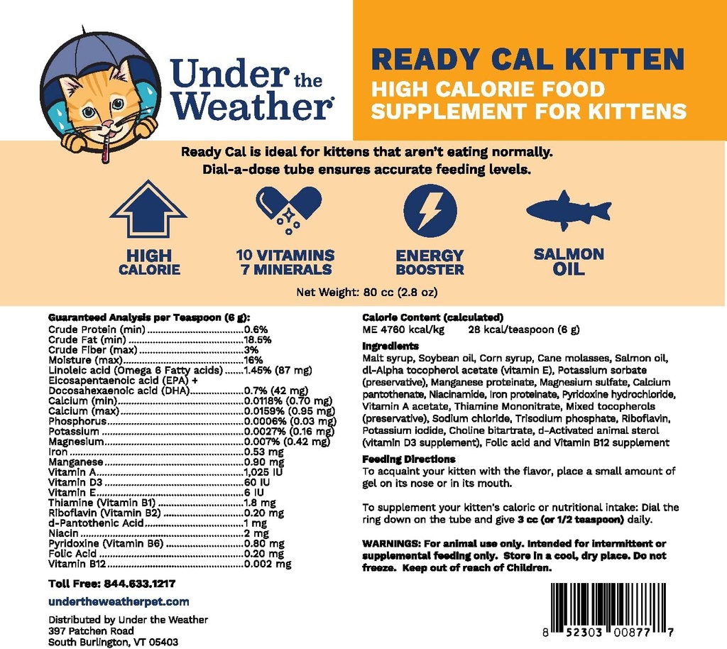 under-the-weather-pet-ready-cal-for-kitt-2.jpg