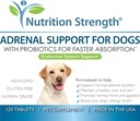 adrenal-support-for-dogs-support-for-dog-6.jpg