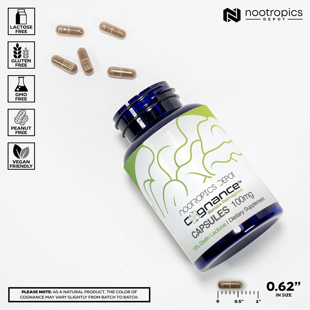 nootropics-depot-cognance-enhanced-bacop-3.jpg