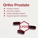 protocol-ortho-prostate---mens-prostate--4.jpg