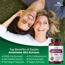zazzee-extra-strength-artichoke-201-extr-3.jpg