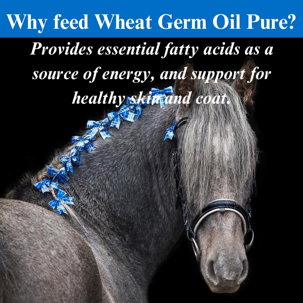 su-per-wheat-germ-oil-pure-for-horses----3.jpg