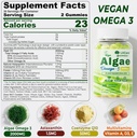 omega-3-gummies-2200mg-from-algae-oil-dh-2.jpg