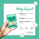 run-gum-tropical-boost-energy-chewing-gu-4.jpg