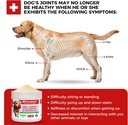 dog-hip-and-joint-supplement---dog-pain--5.jpg