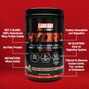 labrada-hydro-100-pure-hydrolyzed-whey-p-2.jpg