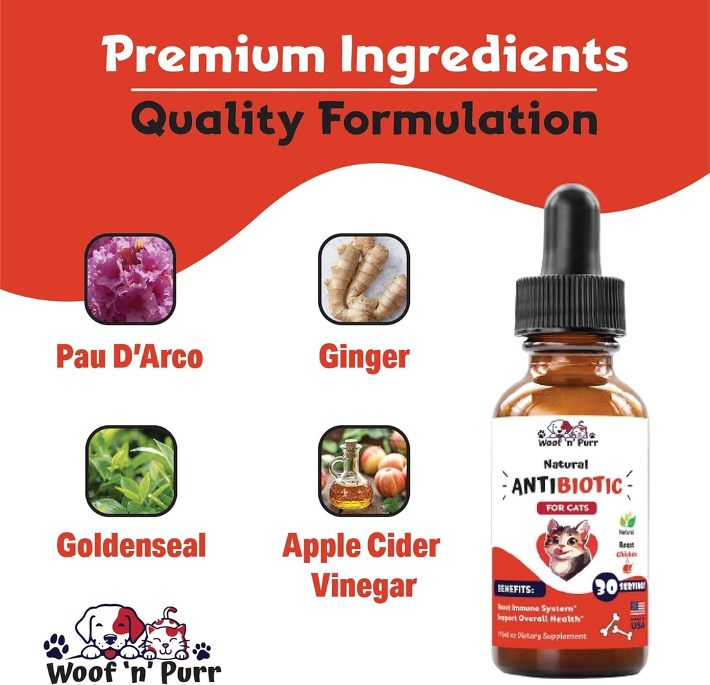 natural-cat-antibiotic---antibiotics-for-5.jpg