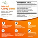 true-moringa-plus-focus-support-suppleme-2.jpg