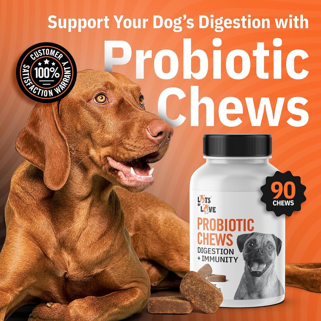 dog-probiotic-chews-90-count---dog-probi-2.jpg