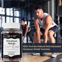 wxw-pure-himalayan-shilajit-gummies-fulv-5.jpg