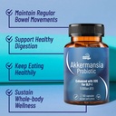 activate-probiotic-supplement-2.jpg