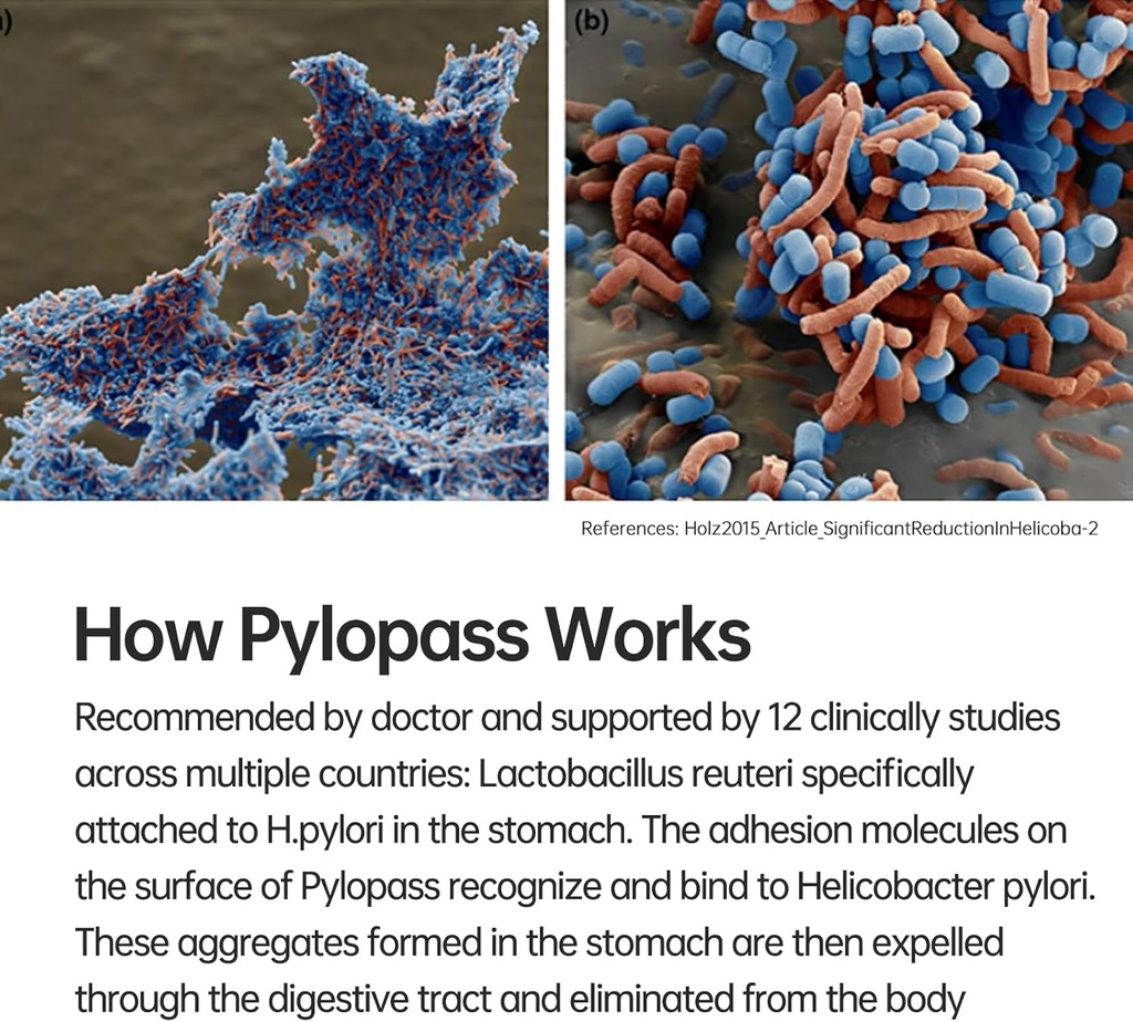 h-pylori-treatment-probiotic-probiotics--2.jpg