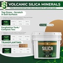 Volcanic Silica Minerals Micronized- 10 lbs 3