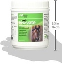 Kentucky Performance Products 2 Pack of Elevate Maintenance Power, 2 Pounds Each, Natural Vitamin E Horse Supplement 3