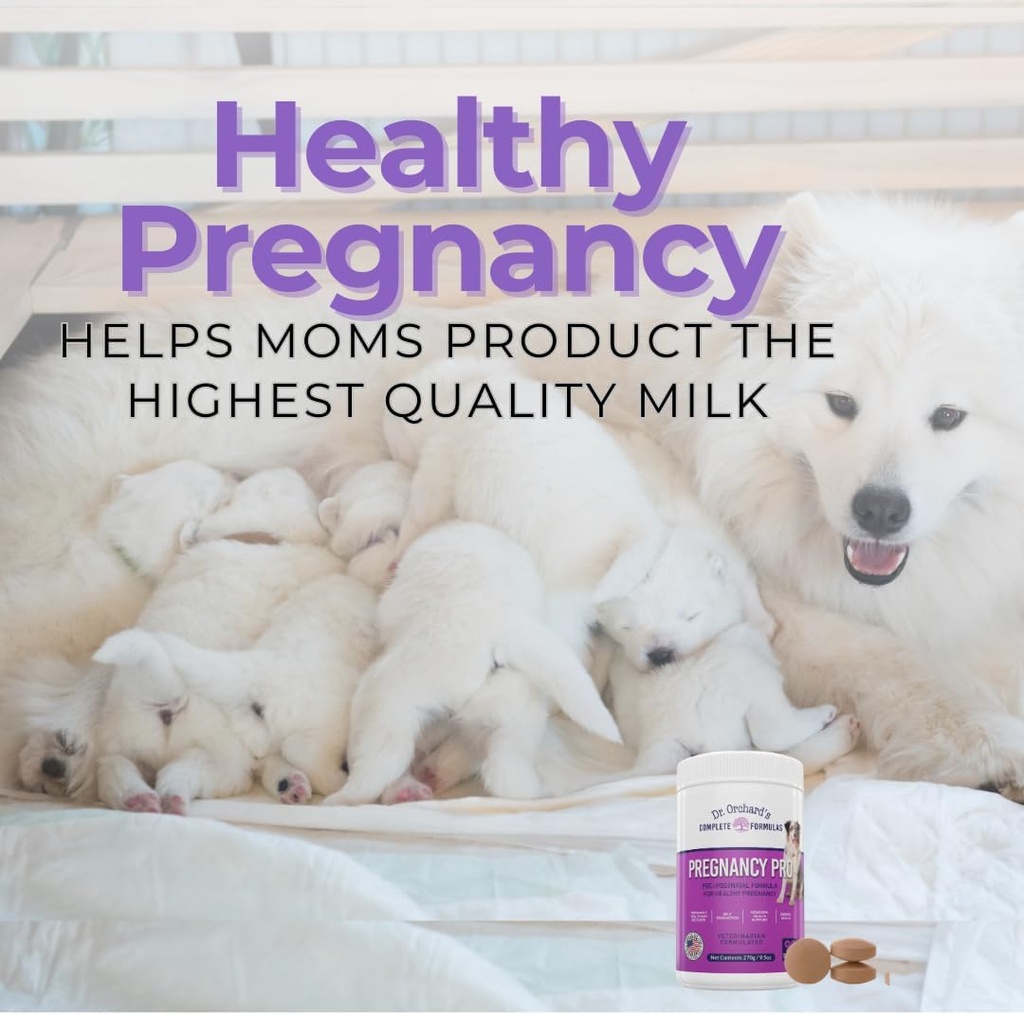 Dr Orchards Pregnancy Pro Dog Prenatal Vitamins - Premium Dog Supplement for Pregnancy, Prenatal + Postnatal, Lactation and Newborn Health Support, 90 Ct 3