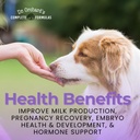 Dr Orchards Pregnancy Pro Dog Prenatal Vitamins - Premium Dog Supplement for Pregnancy, Prenatal + Postnatal, Lactation and Newborn Health Support, 90 Ct 5