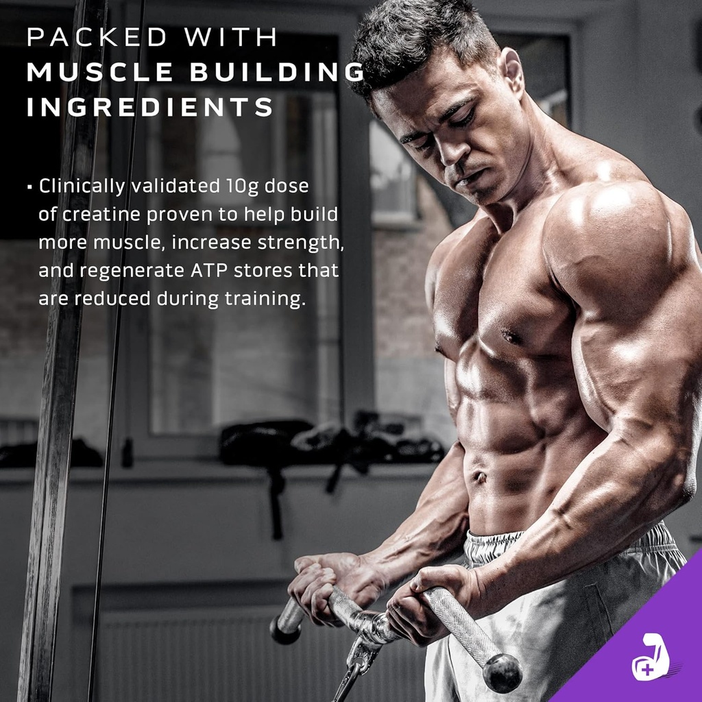 MuscleTech Mass Gainer Protein Powder, Mass-Tech Extreme 2000, Muscle Builder Whey Protein Powder, Protein + Creatine + Carbs, Max-Protein Weight Gainer for Women & Men, Triple Chocolate, 20 lbs 5