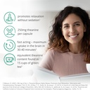 Pure L theanine Supplement (60) | 250mg l theanine Capsules – 1 a Day | Stress Relief Supplement & Calm aid | GABA Supplement Support | Lab-Tested | Vegan 3