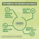 Sunwarrior Probiotics Soil-based Vegan Capsules | 10 billion CFU for Digestion Soy Free Gluten Free Dairy Free | 30 CT 5