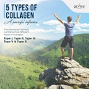 revive-naturals-multi-collagen-protein-c-5.jpg