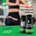 Daiwa Peak Immune 4 - Natural Immune System Booster + Daiwa Krill Oil – Omega 3 Krill Oil Capsules 3