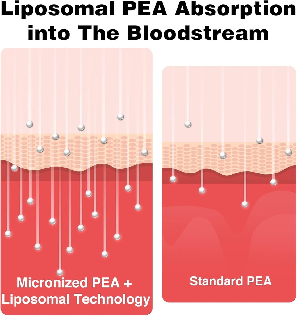 Liposomal Palmitoylethanolamide 1000 mg + Luteolin 100 mg, Micronized Pea 99% Highly Purified - Enhanced Absorption and Bioavailability, 240 Softgels 4