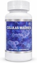 Celulas Madres Stem Cell Enhancer 2