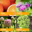 Herb Pharm Better Bitters Certified Organic Digestive Bitters, Orange, 1 Ounce 5