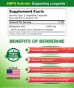 aSquared Nutrition Pure Berberine 1000mg Supplement - 180 Veggie Capsules, Natural Berberine Hydrochloride HCL Plus, Max Strength 1000 mg (2X 500mg), Potent Berberine Vegan Extract 5