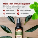 Barlean's 2 Pack Olive Leaf Complex Throat Spray with Peppermint, Lemon, and Sage for Itchy Throat Relief, Immune Support Supplement, Liquid Blended Extract, 1.5 oz 5