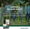 Host Defense Maitake Extract - Immune & Cellular Health Support - Dietary Herbal Supplement with Maitake Mushroom & Mushroom Mycelium - Liquid Supplement - 1 fl oz (30 Servings) 6
