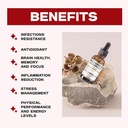 Liquid Mushroom Complex | Herbal Liquid Drops| Mushroom Supplement | Lion's Mane, Reishi, Shiitake, Chaga, Cordyceps, Coriolus Versicolor | NonGMO 2oz - 60 Day Supply 6