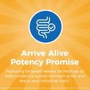 NewRhythm Probiotics 50 Billion CFU 20 Strains, 120 Veggie Capsules, Targeted Release Technology, Stomach Acid Resistant, No Need for Refrigeration, Non-GMO, Gluten Free 6